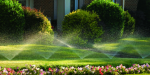 poliv-gazona-v2.orig_