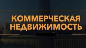 Скриншот 11-08-2025 192643