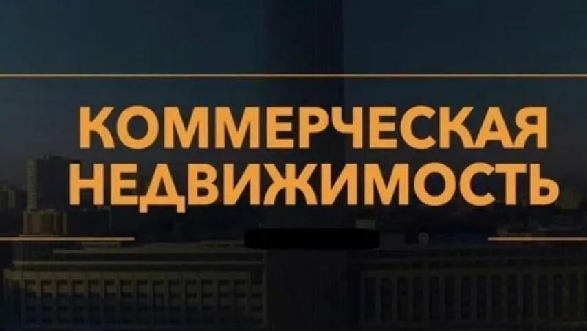 Скриншот 11-08-2025 192643