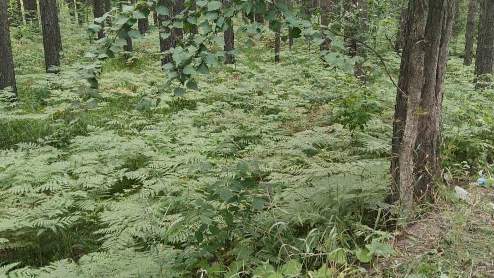 15-летний мальчик погиб после удара в живот: дело ушло в суд