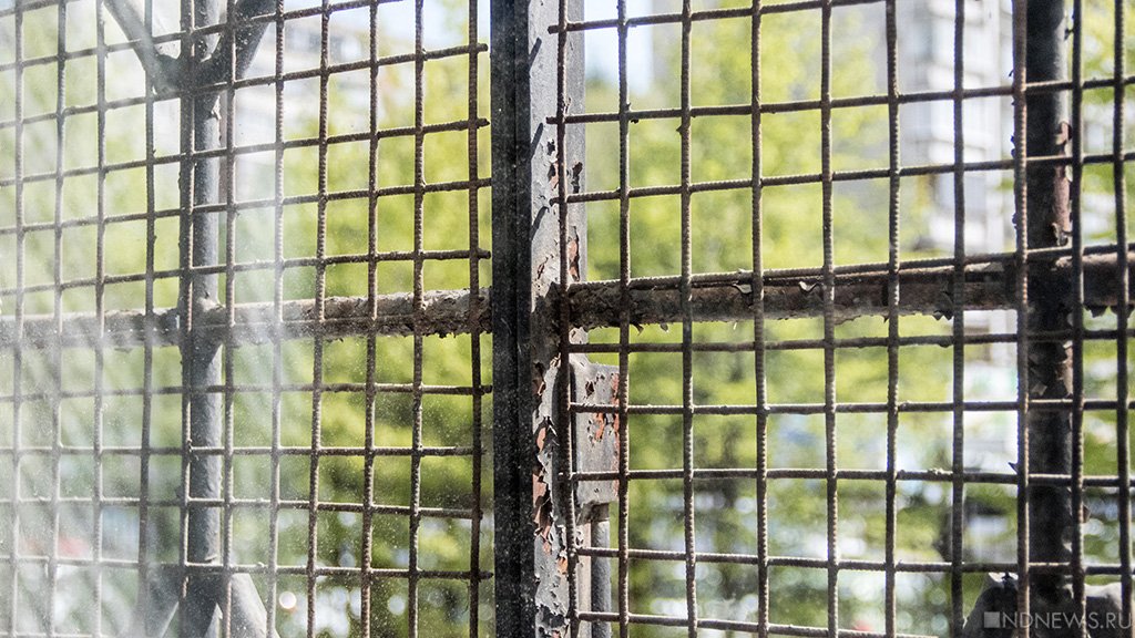 Высокопоставленных сотрудников челябинского ГУФСИН отправили за решетку