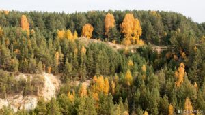 21 ноября ожидаются следующие события – Челябинск