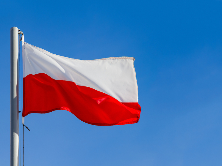 Сикорский: Дмитриев и Маск хотят «поделить Европу»