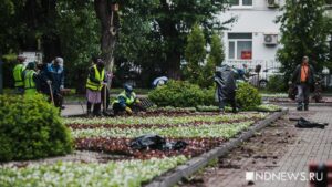 Сотрудникам лесничества, Зеленстроя и ВОИС повысят зарплаты на 30%