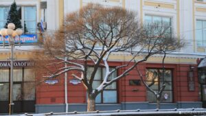 16 декабря ожидаются следующие события – Челябинск