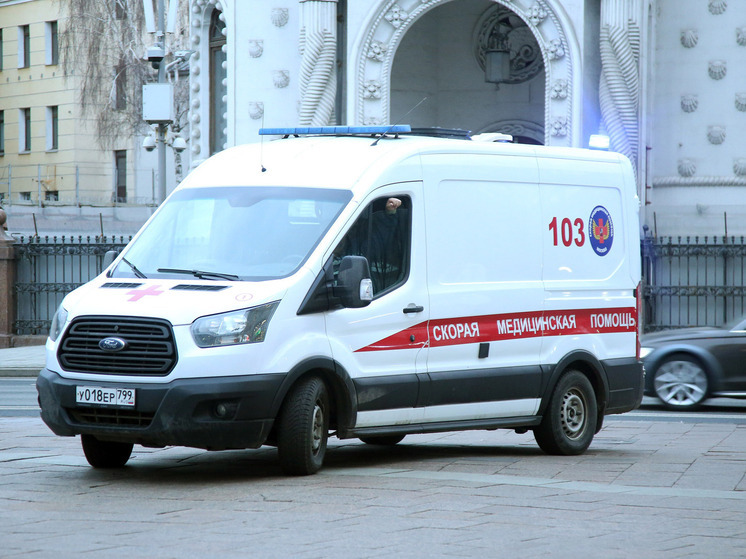 В Даниловском районе Москвы на мать с ребенком упало дерево