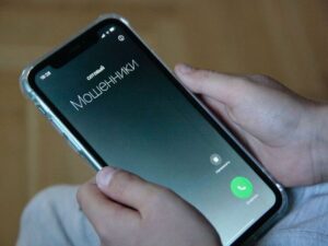 Раскрыта схема мошенников с «новогодними выплатами»