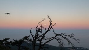 Ночью над Россией уничтожено 92 украинских беспилотника