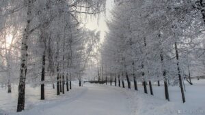 13 января ожидаются следующие события – Челябинск