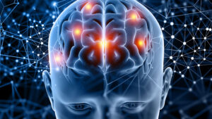 Листать ролики – старить мозг, учить языки – омолаживать: врач озвучил простое правило