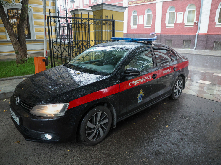 В СК рассказали, сколько удалось раскрыть преступлений прошлых лет