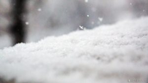 В Тамбовской области из-за снега обрушился козырек у больницы, есть погибший