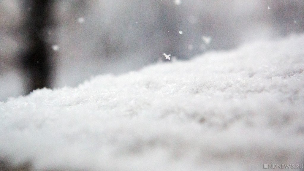 В Тамбовской области из-за снега обрушился козырек у больницы, есть погибший