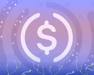 Circle отчиталась о годовой выручке в $2,7 млрд