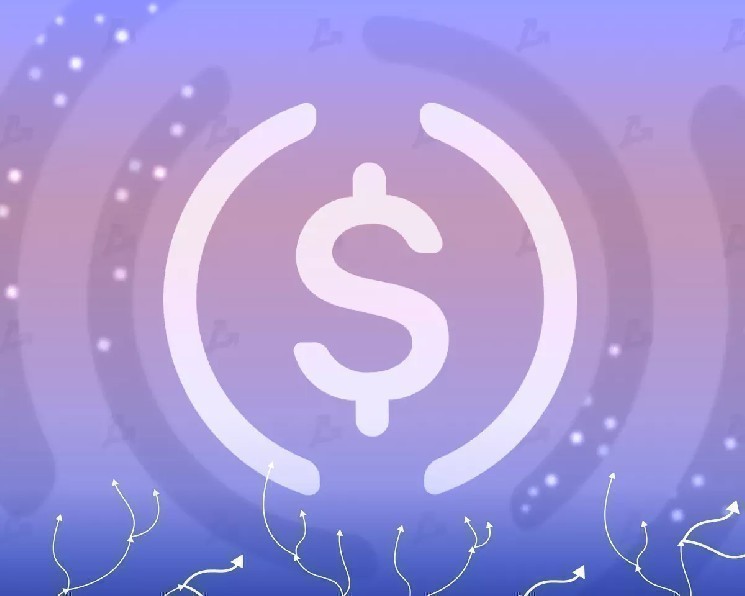 Circle отчиталась о годовой выручке в $2,7 млрд