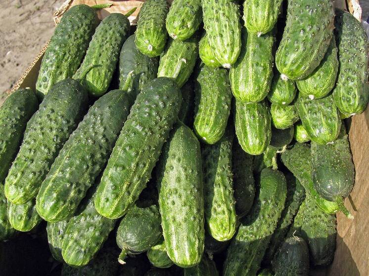 ФАС решила массово проверить цены на популярный у россиян овощ