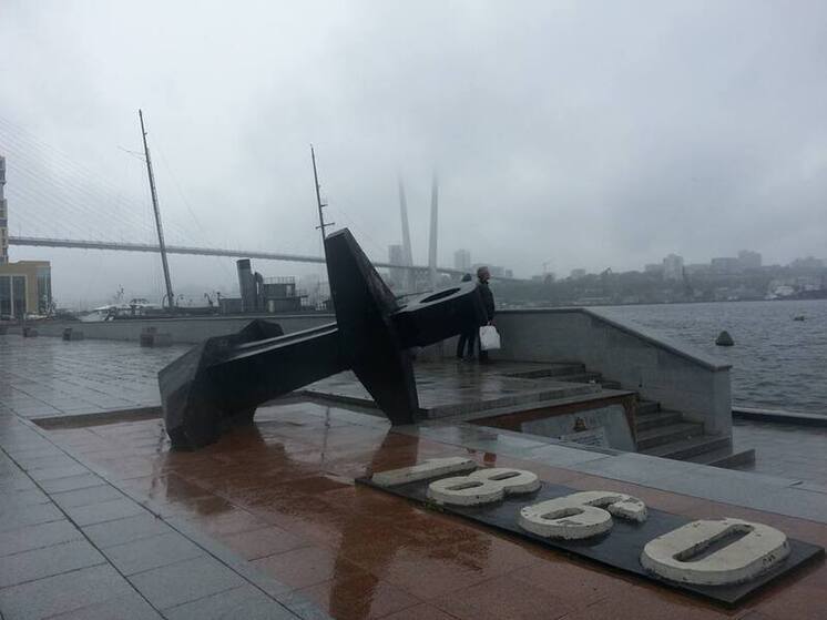 Силовики задержали экс-директора Владивостокского торгового порта