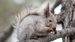 9 – 10 марта ожидаются следующие события – Челябинск