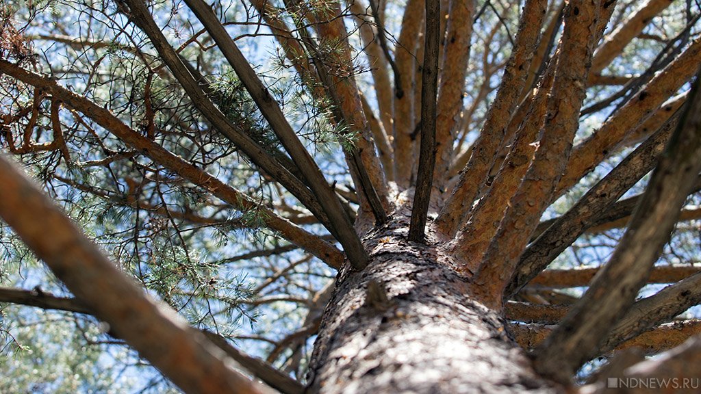 11 марта ожидаются следующие события – Челябинск