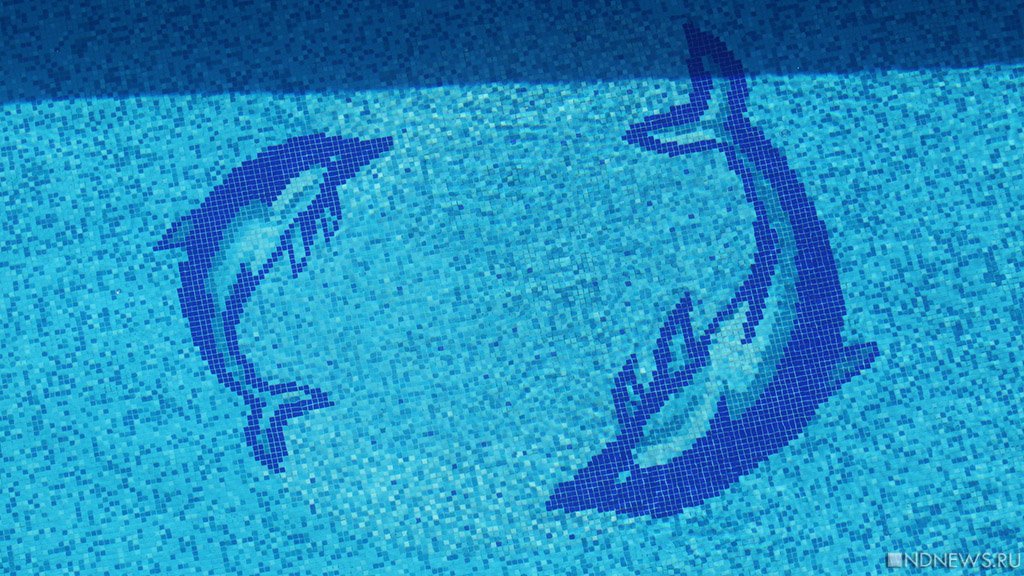 Отравление детей после посещения бассейна в Челябинске привело к уголовному делу