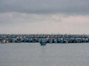 Тысячи китайских судов выстроились в «живой щит»