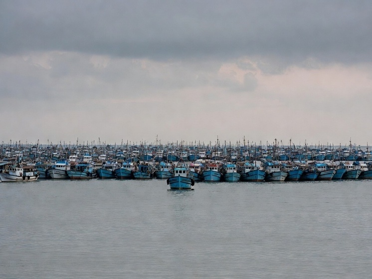 Тысячи китайских судов выстроились в «живой щит»
