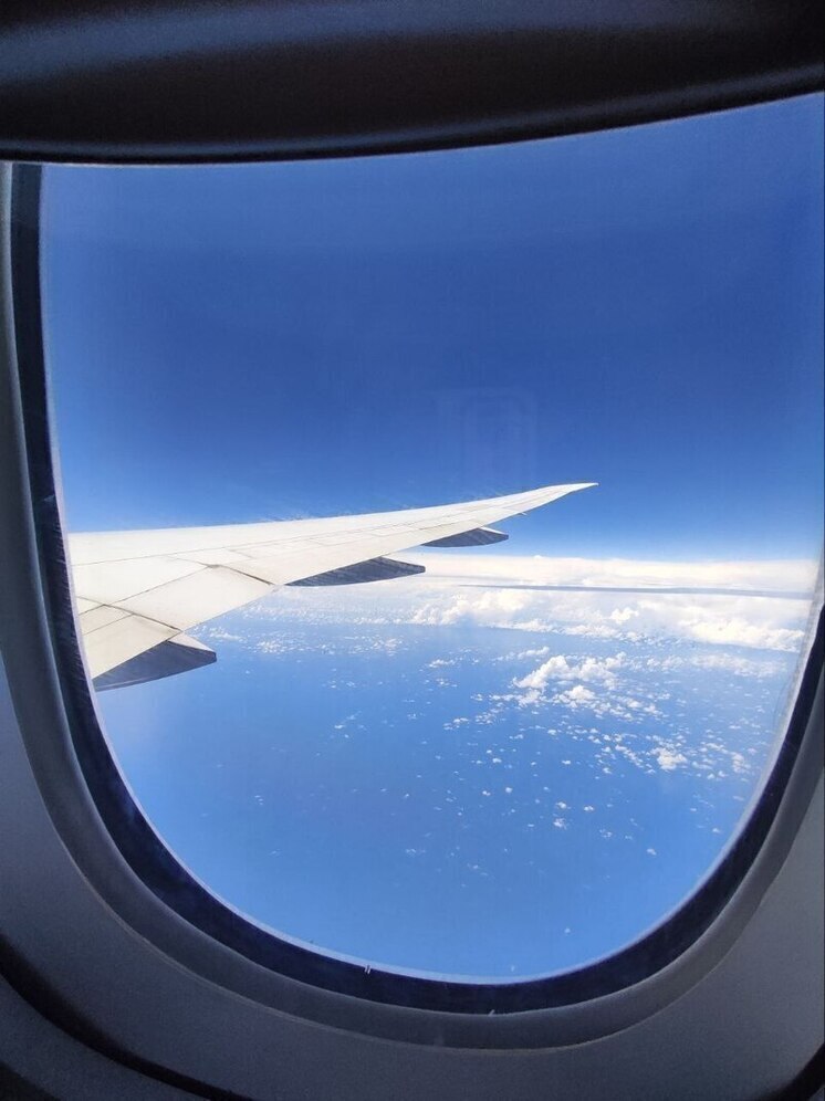 Спецборт МЧС доставит в Москву из Египта российских граждан