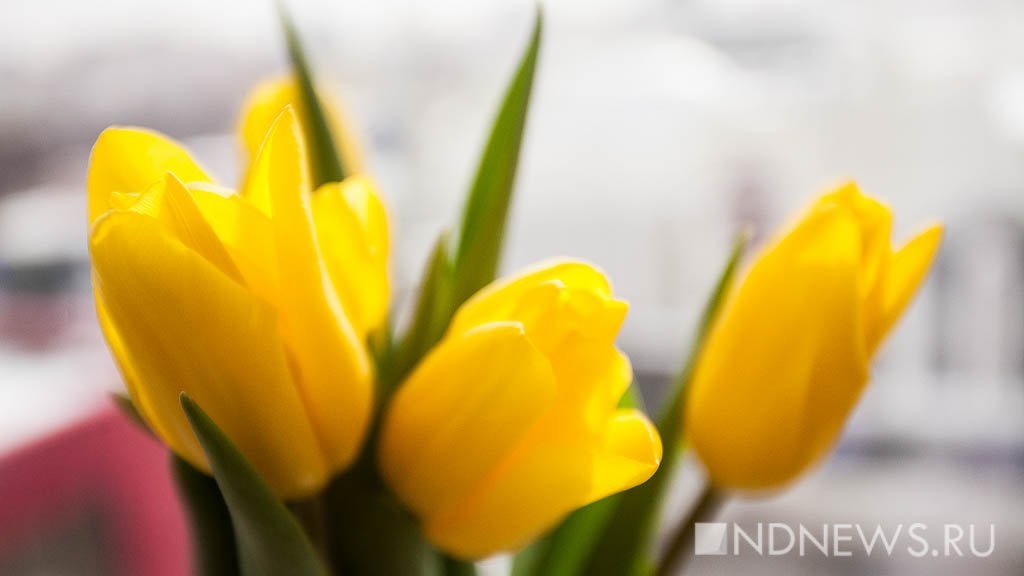 «Увидите инспектора – не уезжайте!» Гаишники готовят сюрприз для женщин-водителей