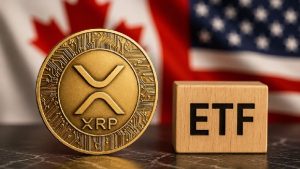 Несмотря на падение цены, появились интересные данные по спотовым ETF на XRP