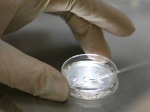 «Будто доктор Зло»: секретные архивы США подтвердили худшие опасения по Украине