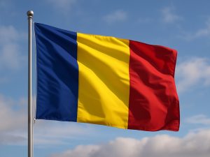 Парламент Румынии провалил голосование по новому правительству