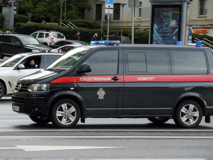 Убивший 12-летнюю девочку подросток из Приморья признал вину