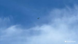 Во Франции упал самолет с парашютистами: погибли 11 человек