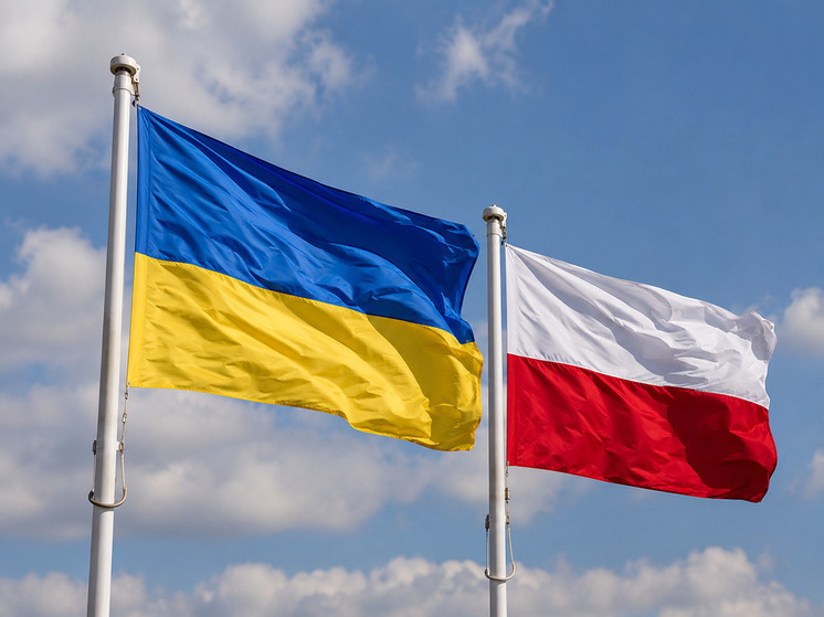 В Польше раскритиковали заявление Яроша* об оккупантах на Украине