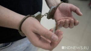 В Грузии задержан мужчина, избивший туристку из России за русскую речь