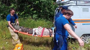 Спасатели помогли мужчине, попавшему в беду в лесу