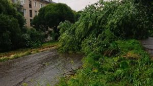 В Златоусте устраняют последствия шторма