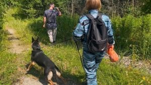 Нашлась пенсионерка, которая позавчера заблудилась в лесу. Медпомощь ей не нужна