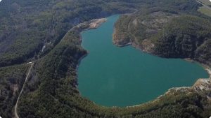 В Режевском заказнике расцвели редкие орхидеи (ФОТО)