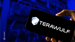 Почему сегодня акции Terawulf резко выросли?