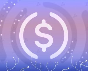 В Fortune предупредили о рисках сделки Circle и IBM